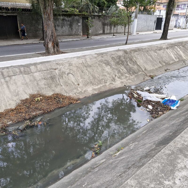 Imagem da publicação