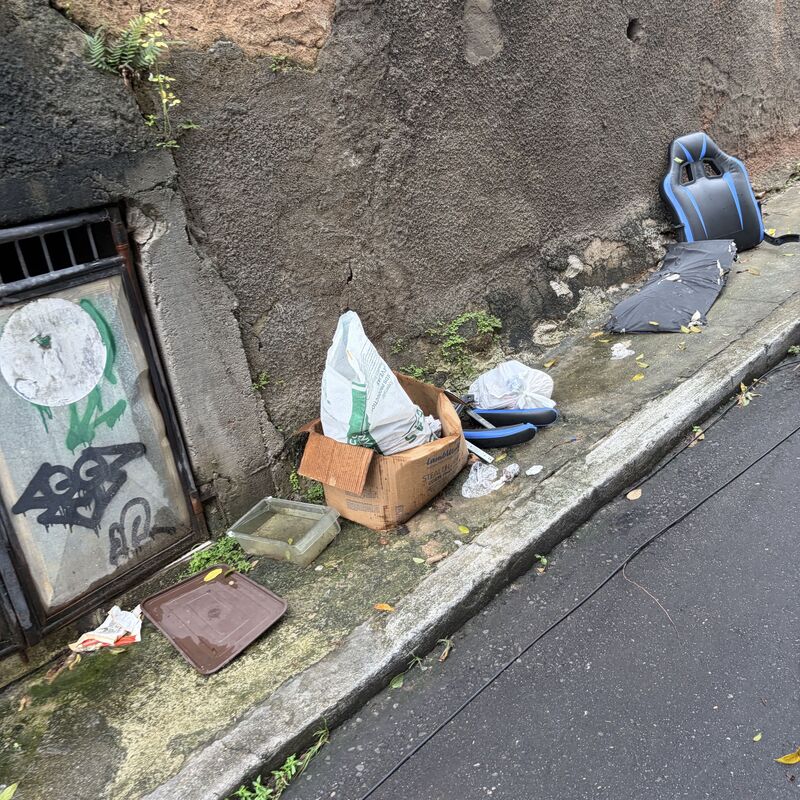 Imagem da publicação