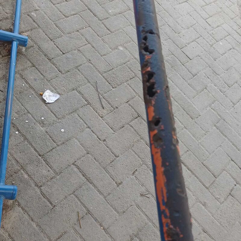 Imagem da publicação