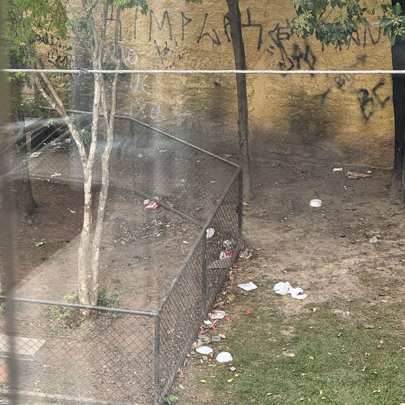 Imagem da publicação