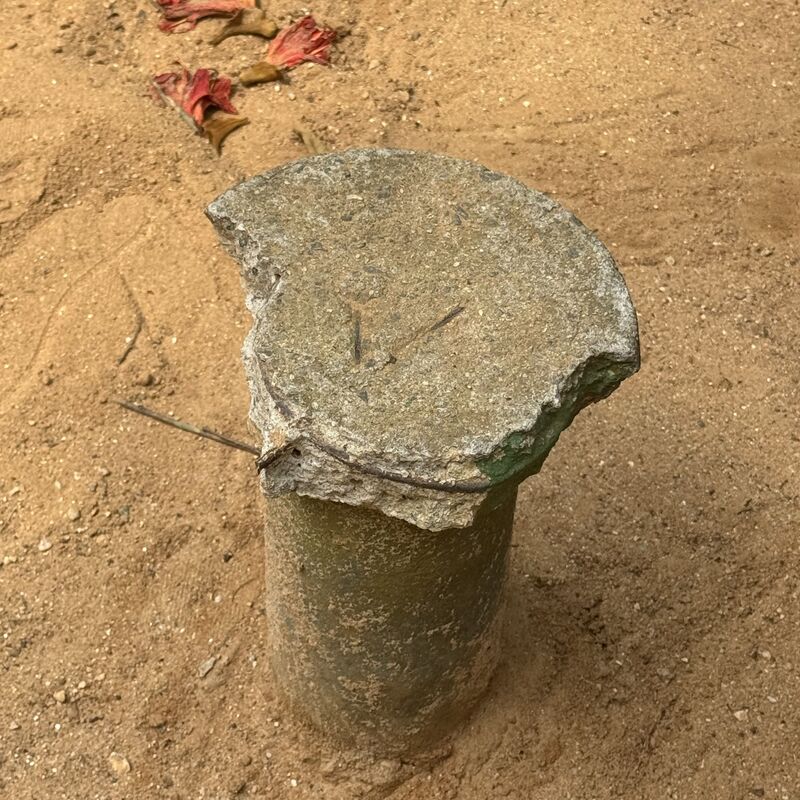 Imagem da publicação