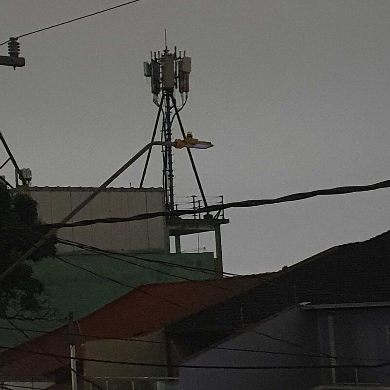 Imagem da publicação