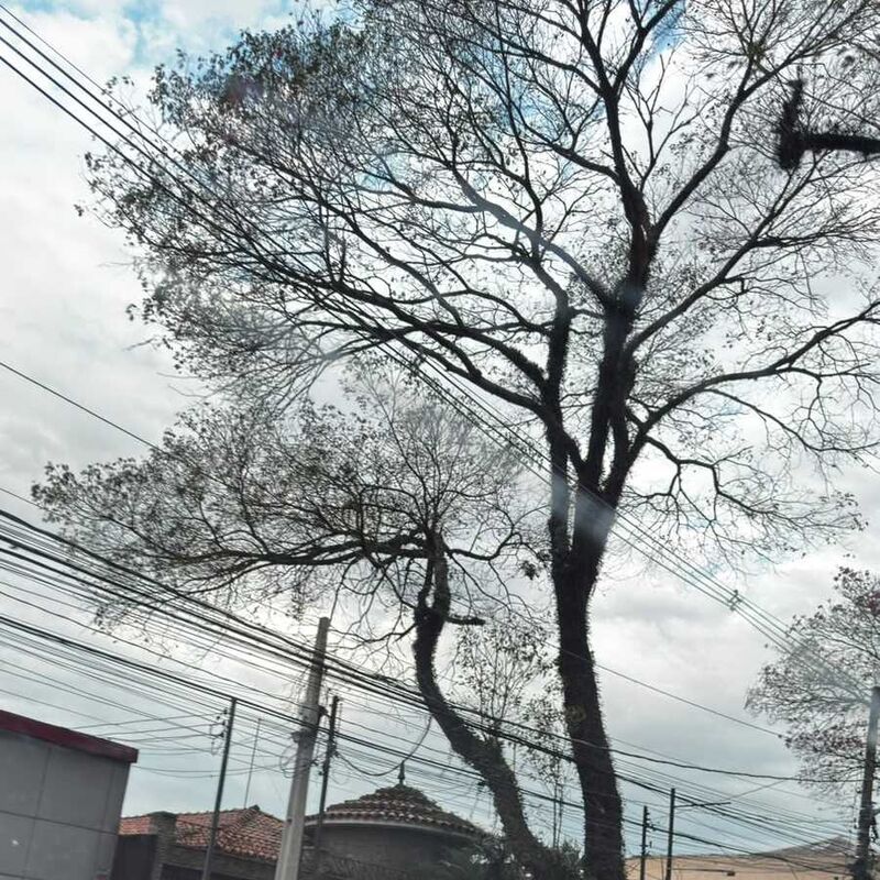 Imagem da publicação