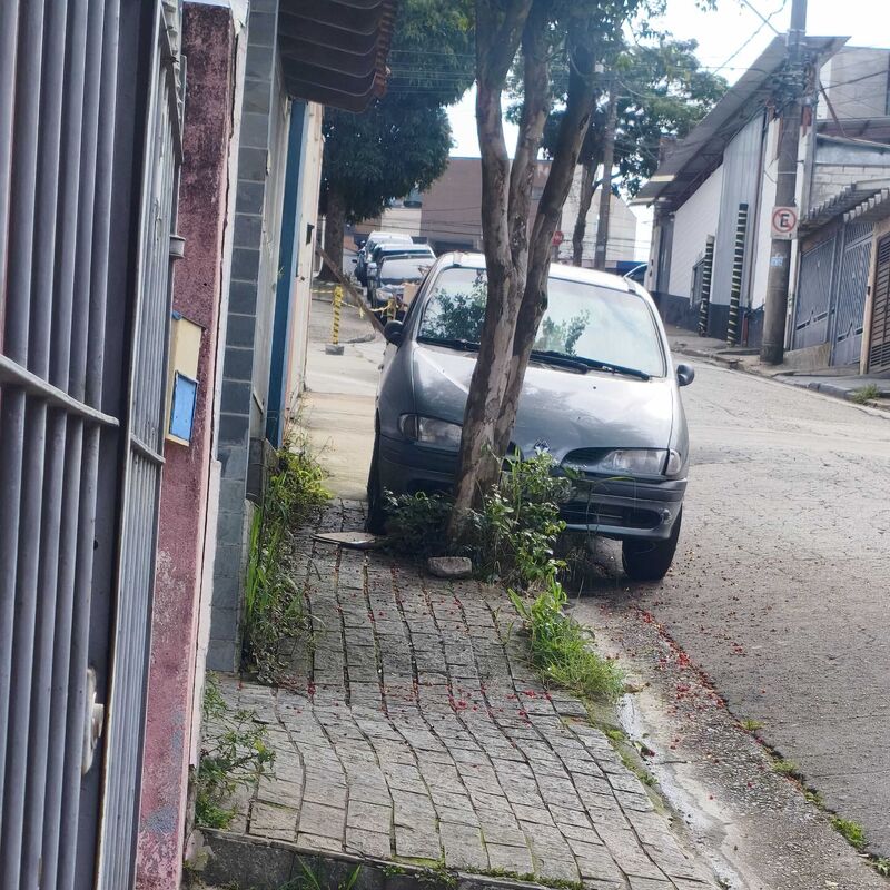 Imagem da publicação