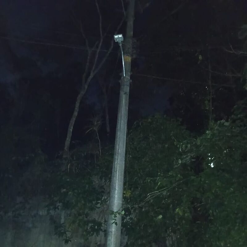 Imagem da publicação