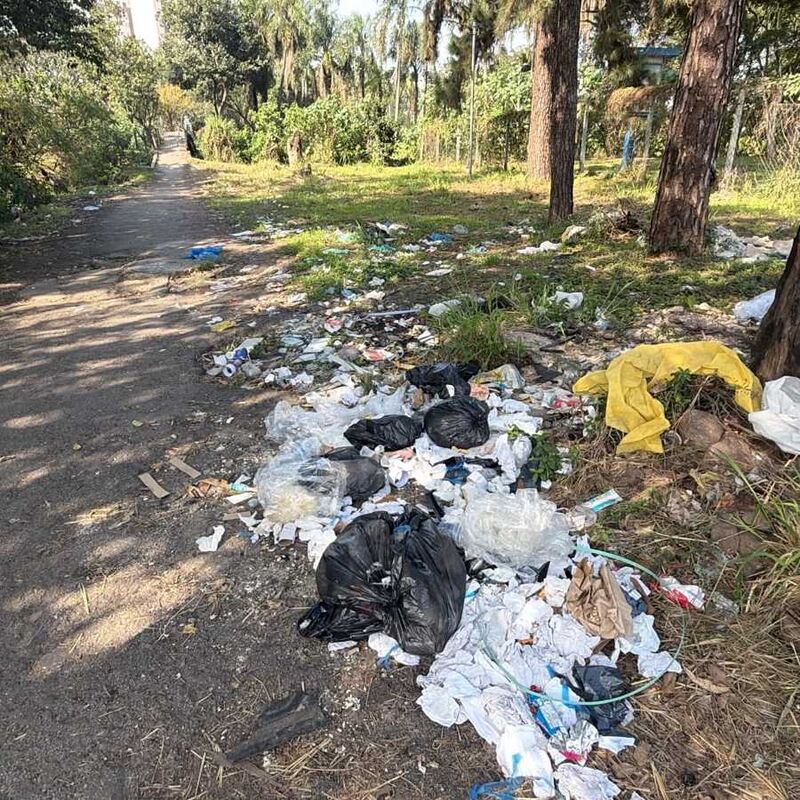 Imagem da publicação
