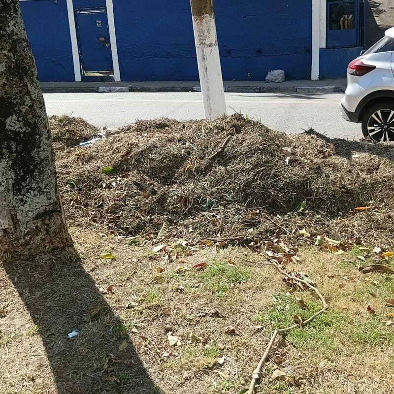 Imagem da publicação