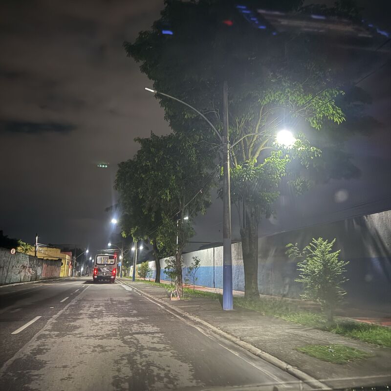 Imagem da publicação