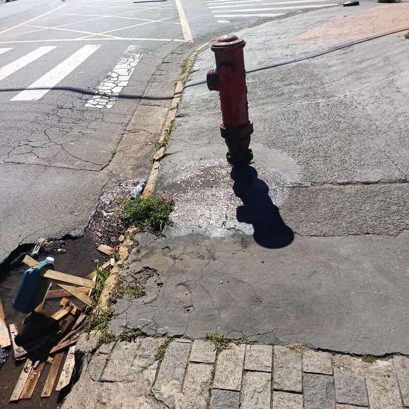 Imagem da publicação