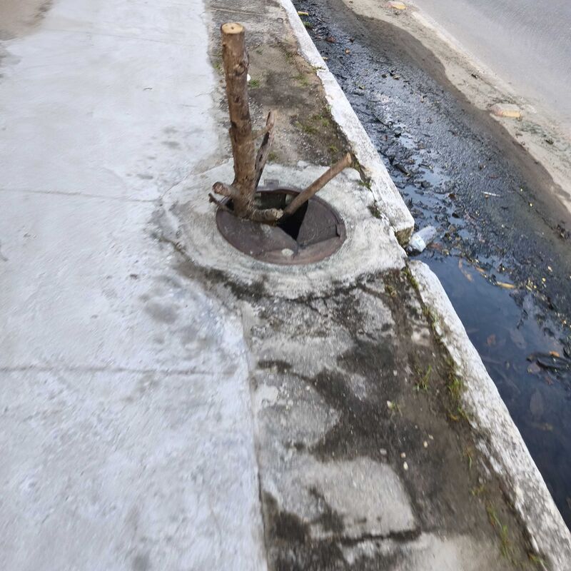 Imagem da publicação