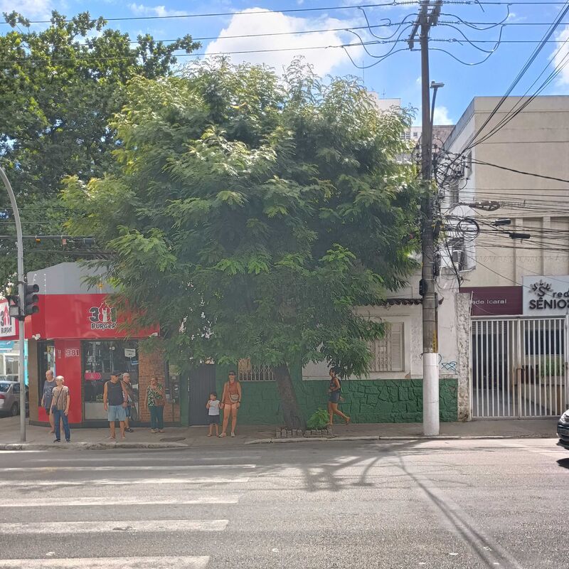 Imagem da publicação