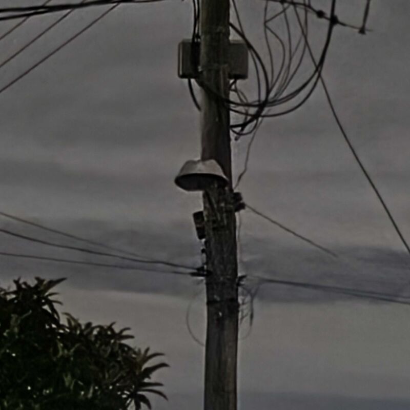 Imagem da publicação