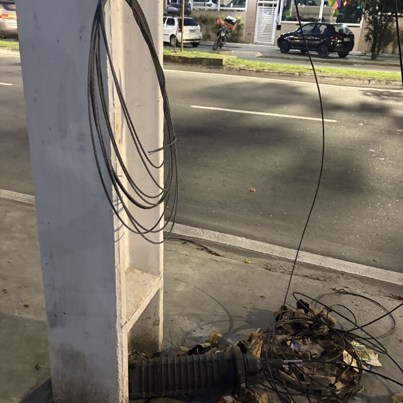 Imagem da publicação