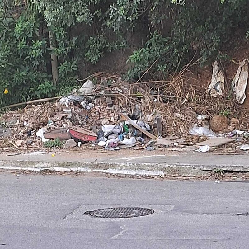 Imagem da publicação