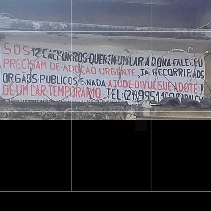 Imagem da publicação