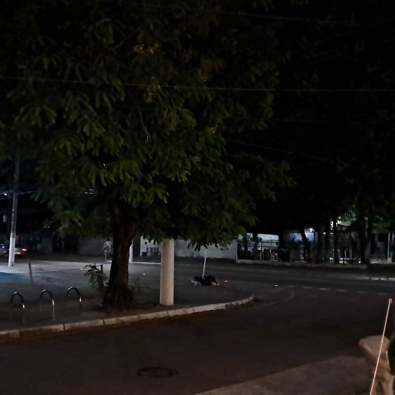 Imagem da publicação