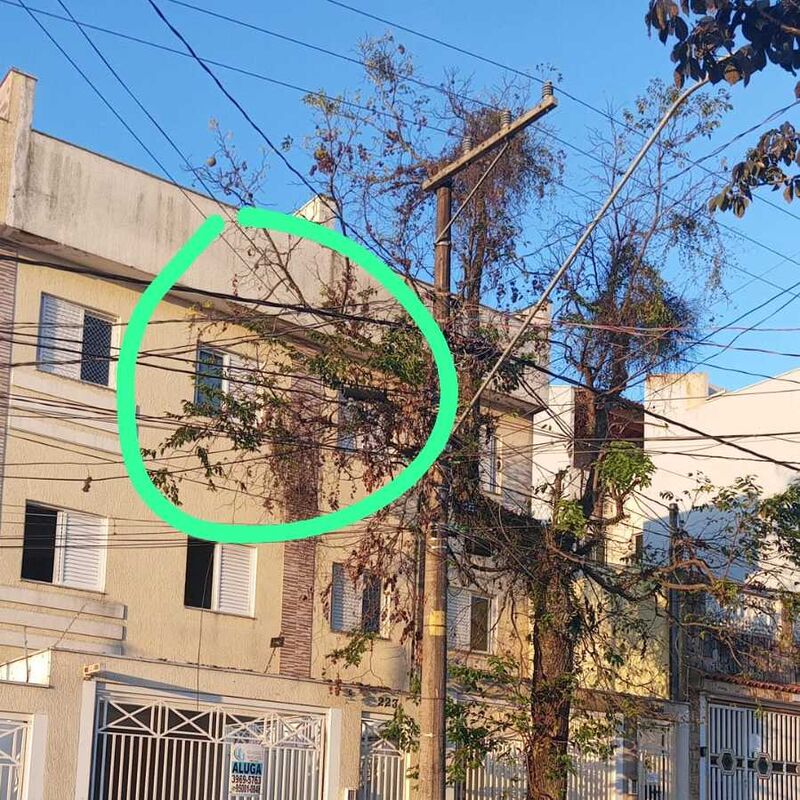 Imagem da publicação