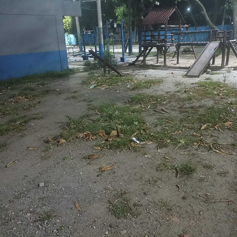 Imagem da publicação