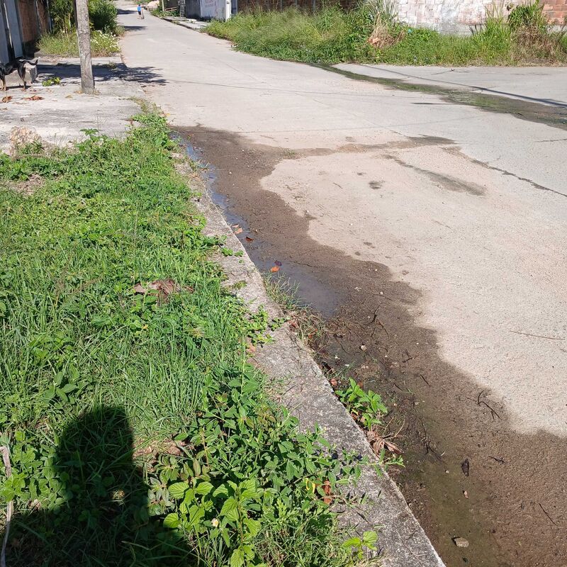 Imagem da publicação