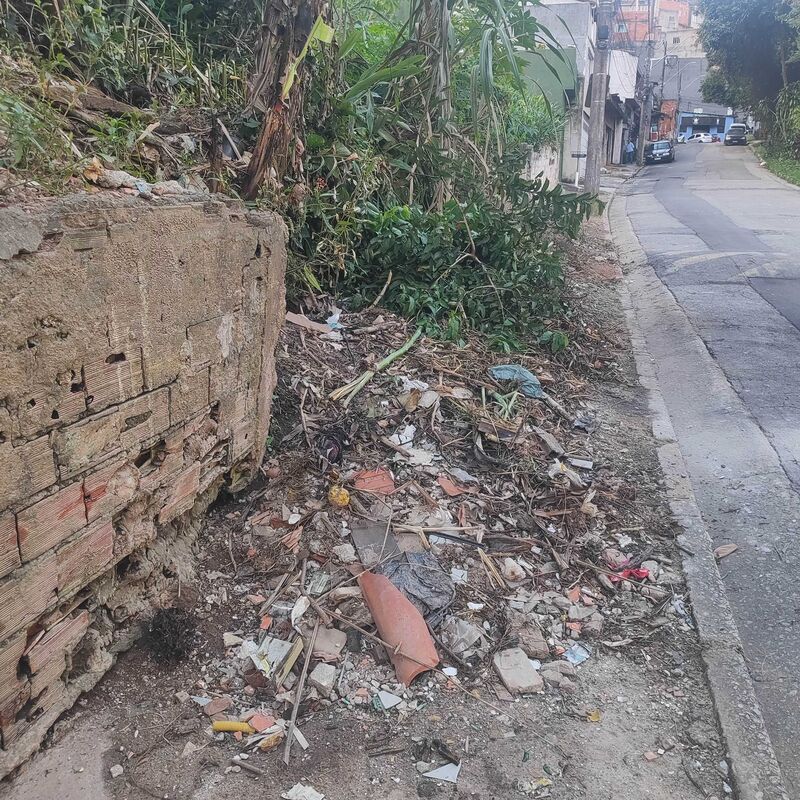 Imagem da publicação