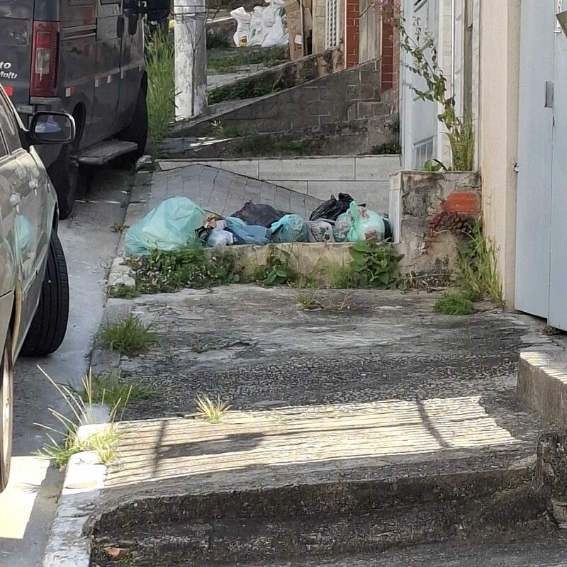 Imagem da publicação