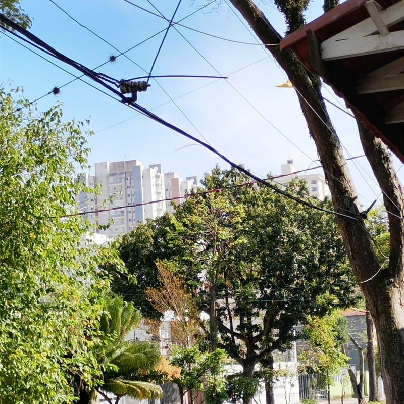 Imagem da publicação