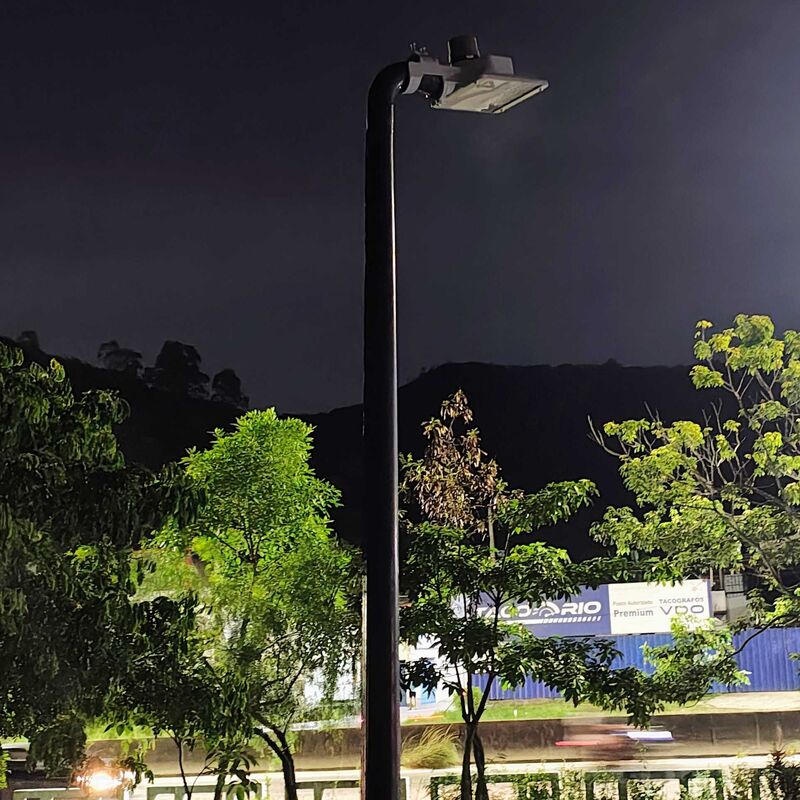 Imagem da publicação