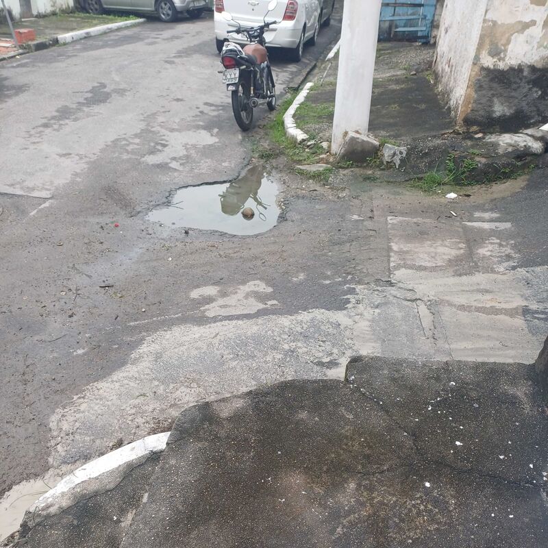 Imagem da publicação