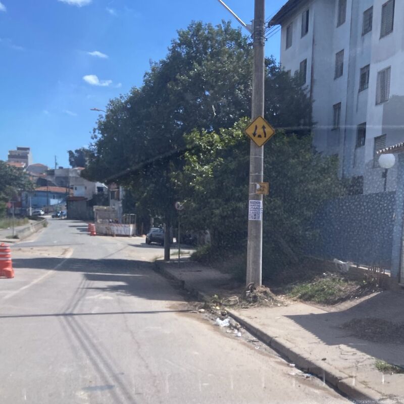 Imagem da publicação