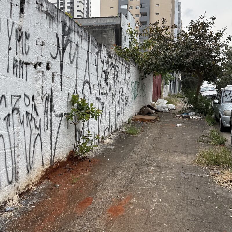 Imagem da publicação