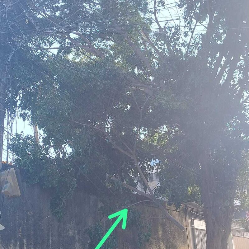 Imagem da publicação