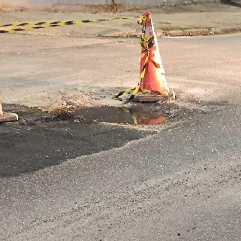 Imagem da publicação