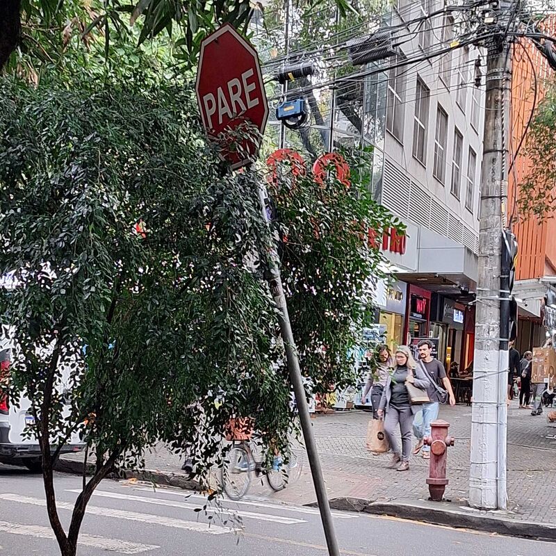 Imagem da publicação