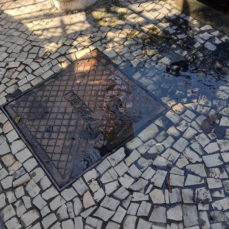 Imagem da publicação