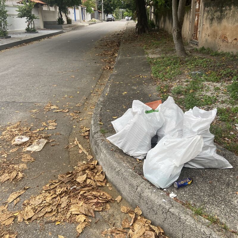 Imagem da publicação