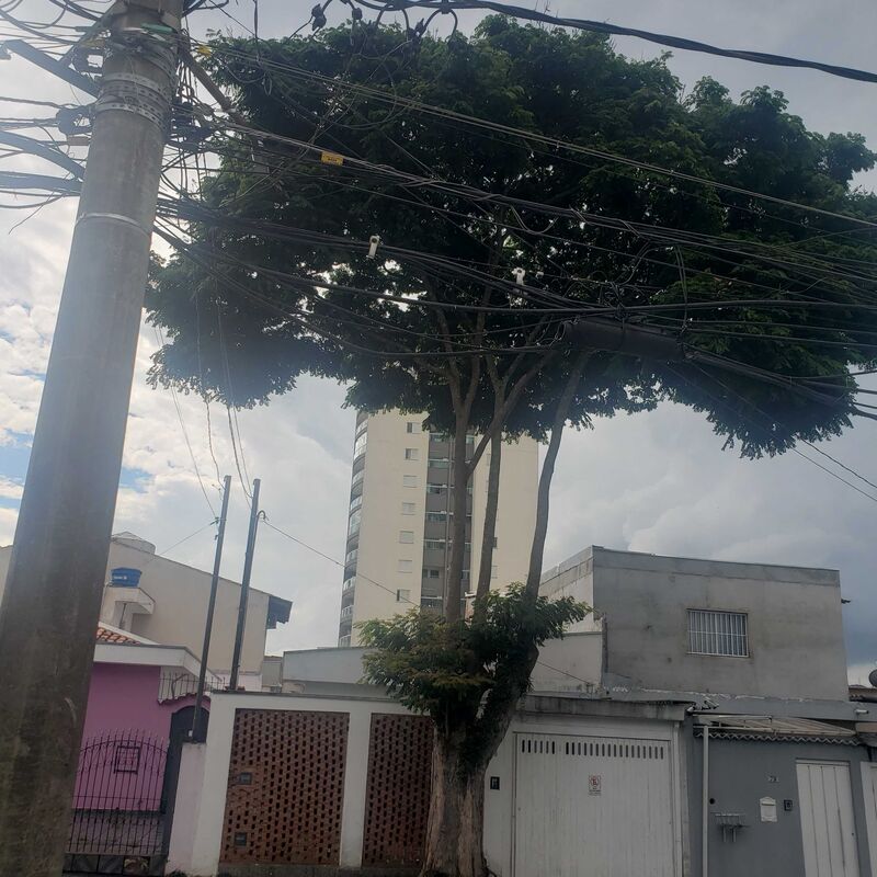 Imagem da publicação