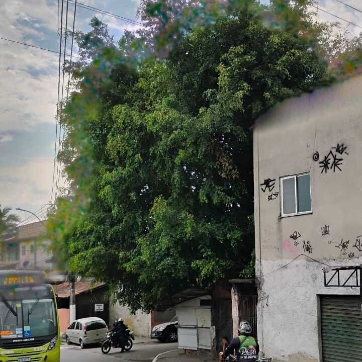Imagem da publicação