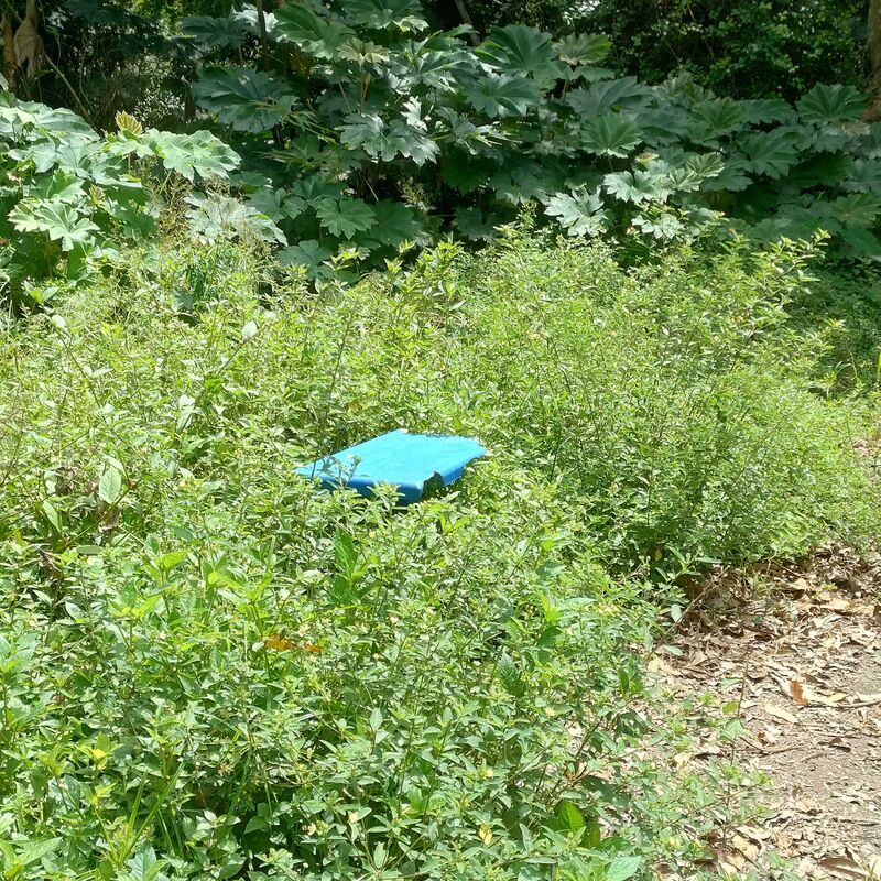 Imagem da publicação