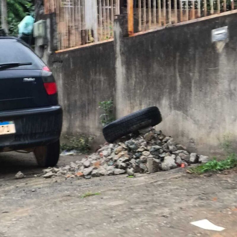Imagem da publicação