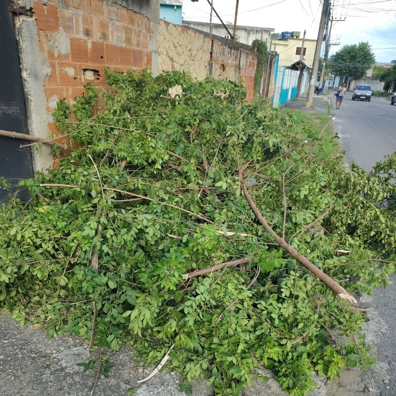 Imagem da publicação