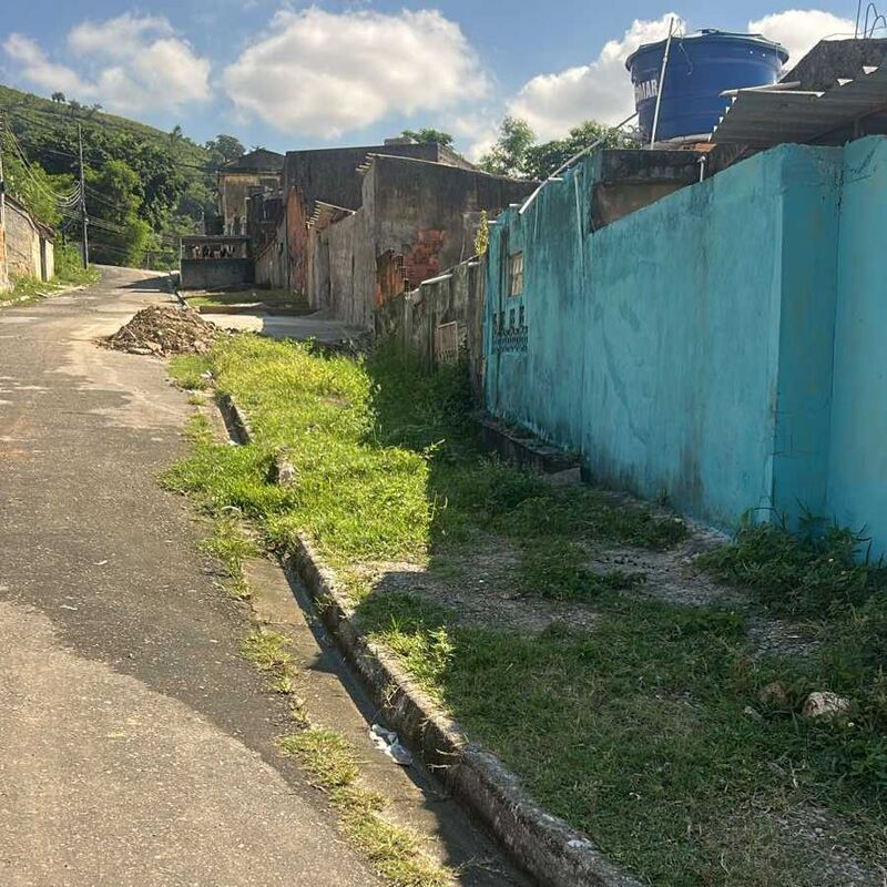 Imagem da publicação