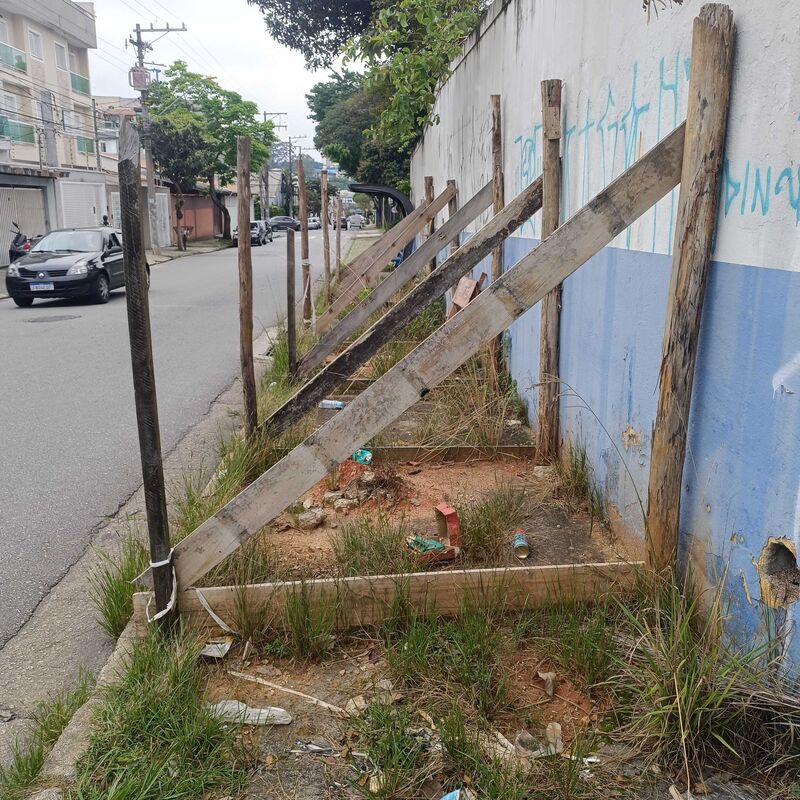 Imagem da publicação