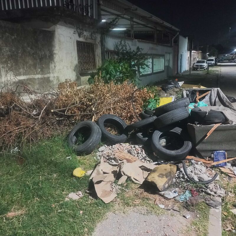 Imagem da publicação