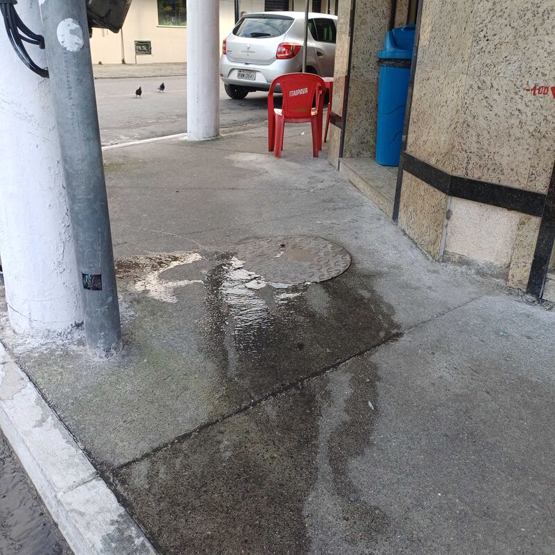 Imagem da publicação