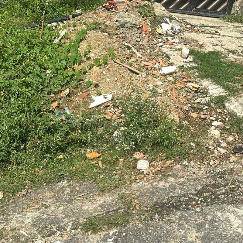 Imagem da publicação