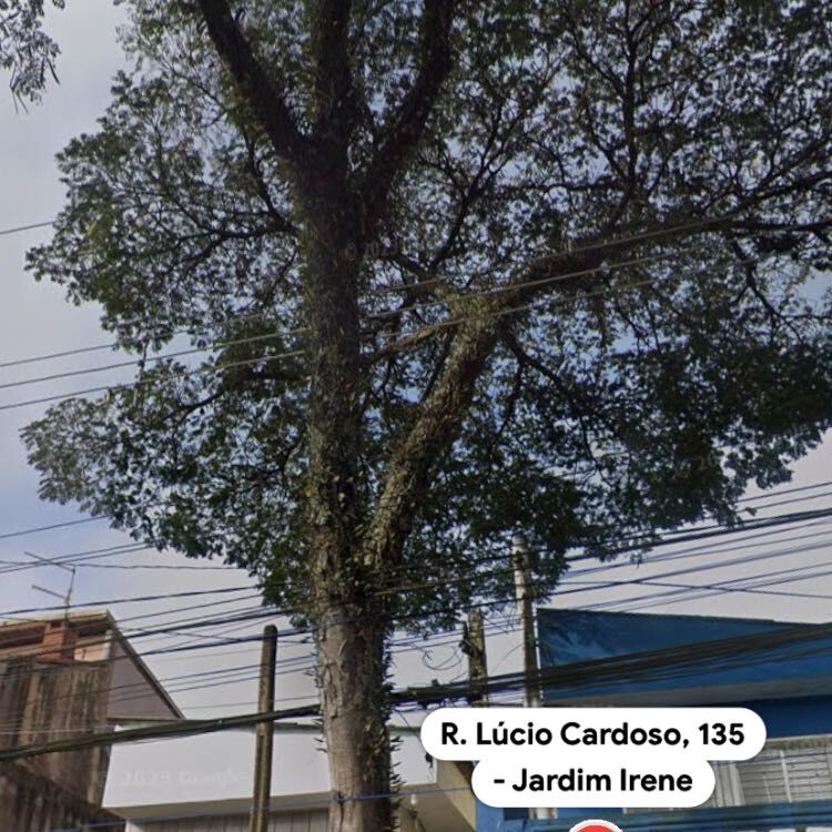 Imagem da publicação