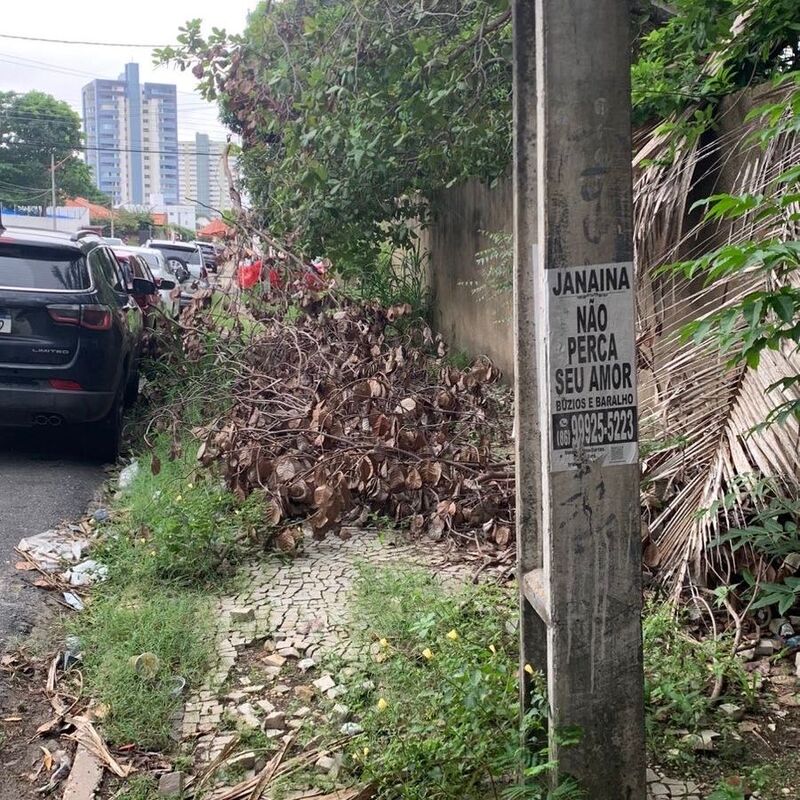 Imagem da publicação