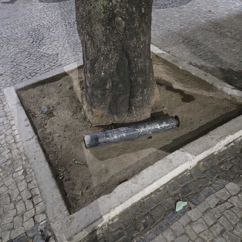 Imagem da publicação