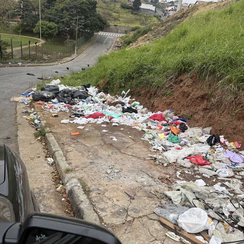 Imagem da publicação