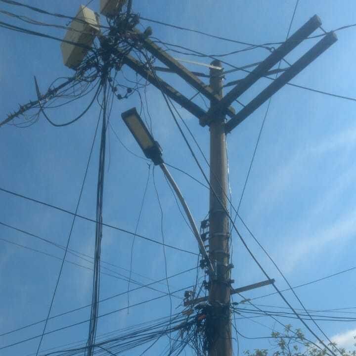 Imagem da publicação